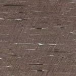 Cygnus quartzite -