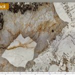 Granite Patagonia -